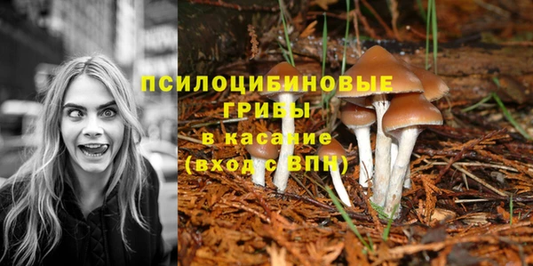 сатива Медвежьегорск