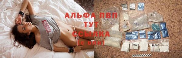 сатива Медвежьегорск